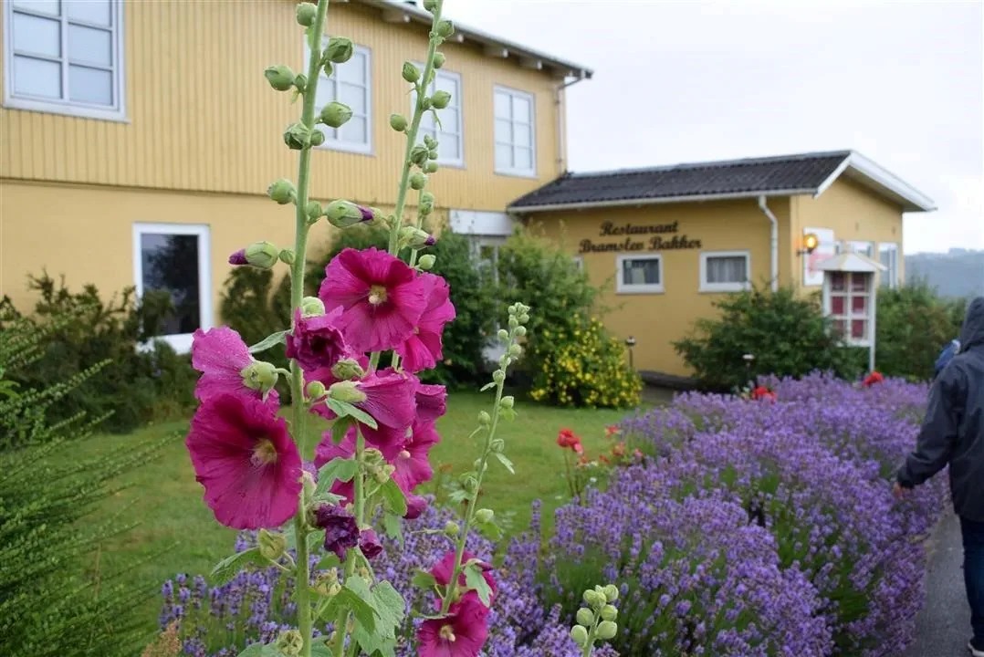 Assens and the North of Denmark 2017